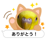 734460622