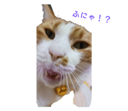 734461705