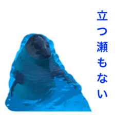 734462550