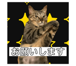 734464784