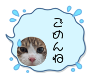 734465816