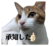 734465824