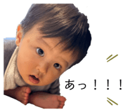 734466003