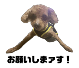734481868