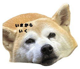 734504822