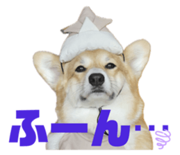 734528291
