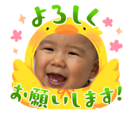 734533611