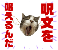 734552446