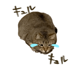 734556180