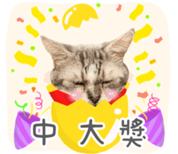 734557171
