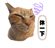 734567957