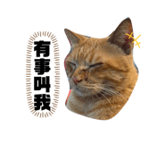 734567958