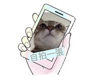 734568149