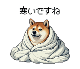 734603653