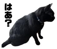 734628870