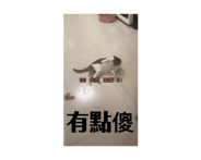734629992
