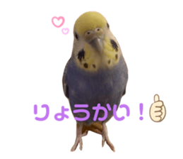 734632790