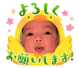 734633052