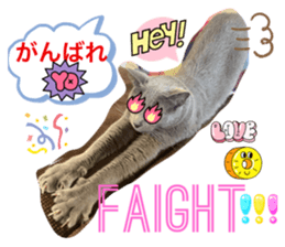 734633765