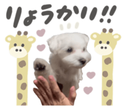 734634855