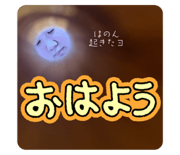 734637324