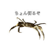 734643301