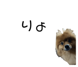 734648016