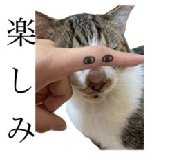 734650103