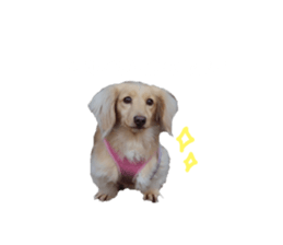 734652457