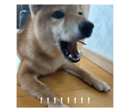 734652923