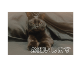 734657218
