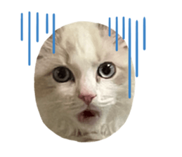 734664615