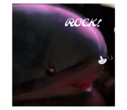 734666877