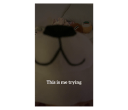 734666881
