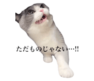 734667454