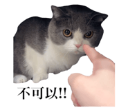 734667459