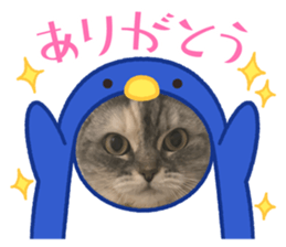 734669401