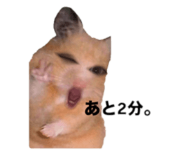 734686580