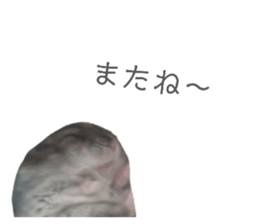 734697822