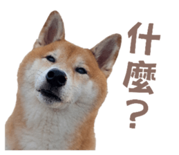 734708315
