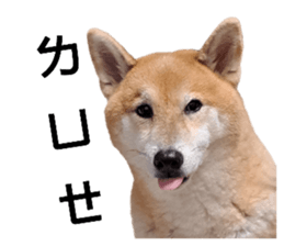 734708321