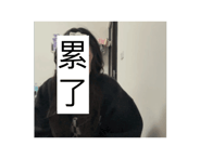 734716834