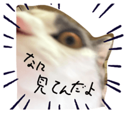 734756220