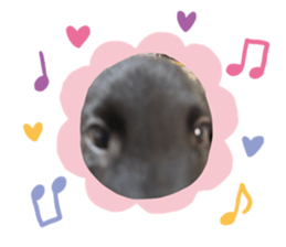 734756466