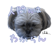 734761818
