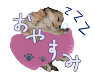 734761819