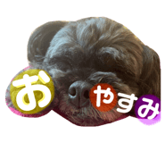 734762541