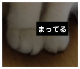 734763308