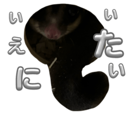 734765733