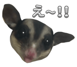 734765735